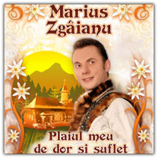 Marius Zgaianu - Plaiul meu de dor si suflet