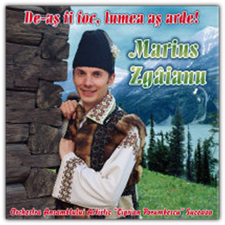 Marius Zgaianu - De-as fi dor lumea as arde